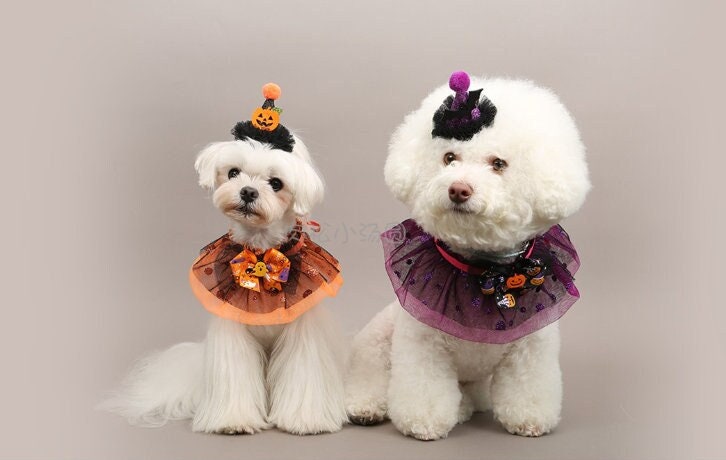 Dog Halloween Collar Dog Halloween Hat | Customized Dog Halloween Costume lace collar with bowtie wizzard hat