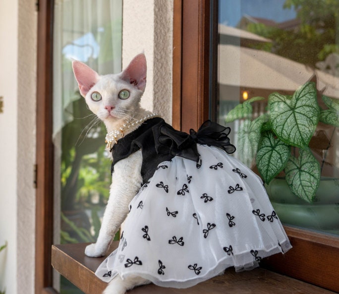 Sheerd Butterfly Cat Princess Evening Dress with Big Bow  | Cat Clothes Outfit for Devon Sphynx Hairless Shorthair Ragdoll Cat