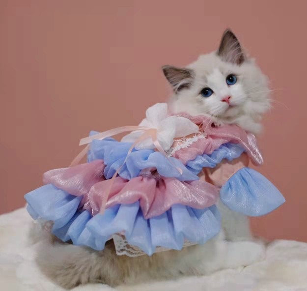 Pink and Blue Cat Dog layered cake princess dress |Personalized pet birthday wedding dress small dog Pomeranian poodle chihuahua cat ragdoll
