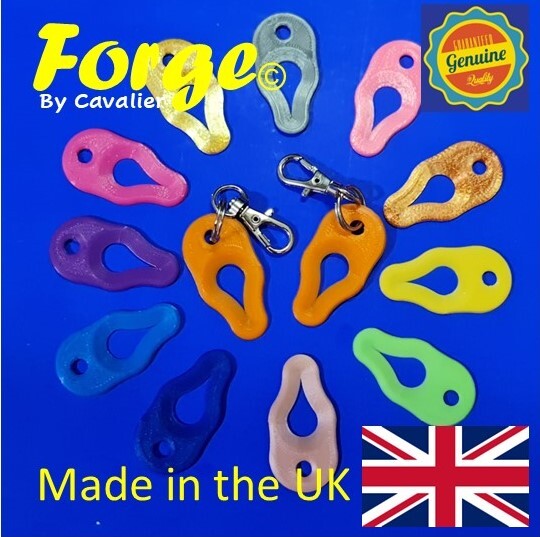 Key Ring Tick Removal Tools PLA Plastic Biodegradable, dog cat horse